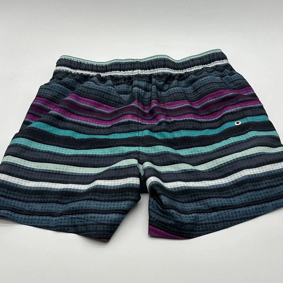 Speedo Men's 5.5" Volley Anthracite Cliff Stripe Swim Trunk Size M - Picture 7 of 9